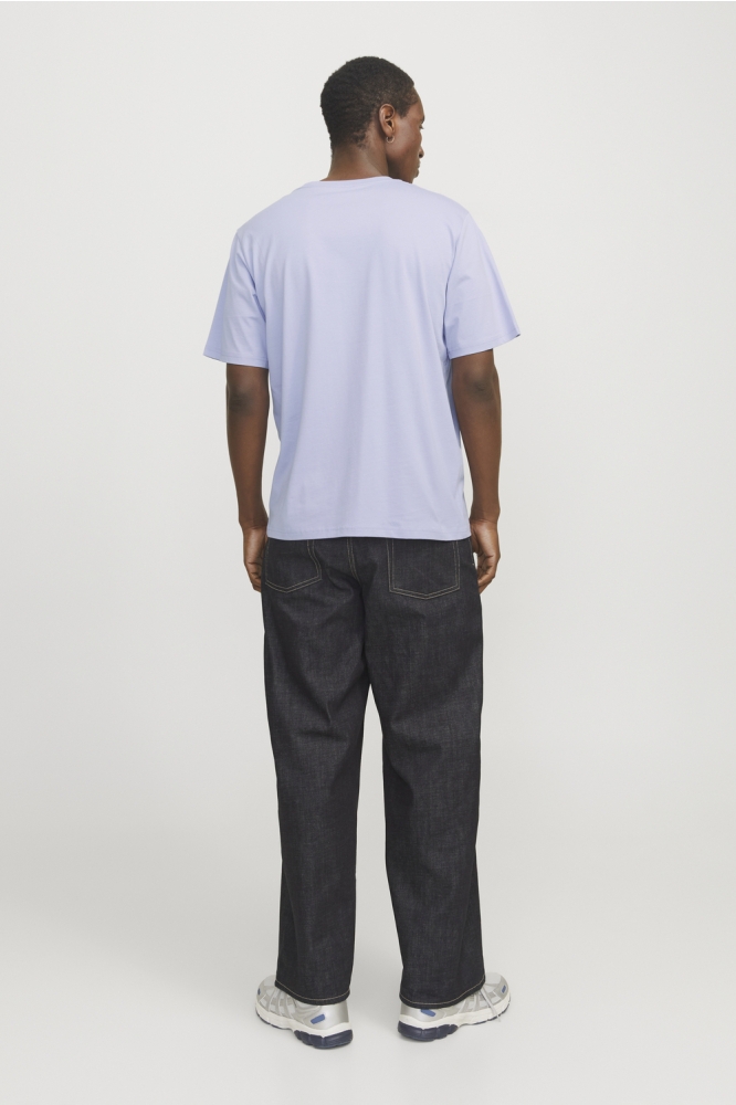 JORVESTERBRO TEE SS CREW NECK NOOS 12240121 COSMIC SKY